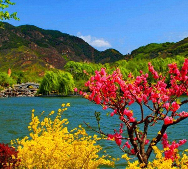 The lakes of Jammu & Kashmir, including Dal Lake, Wular Lake, and Pangong Lake, offer breathtaking beauty and serenity. Tourists enjoy houseboat stays, shikara rides, and stunning reflections of snow-capped mountains, making these pristine water bodies must-visit attractions in the region.