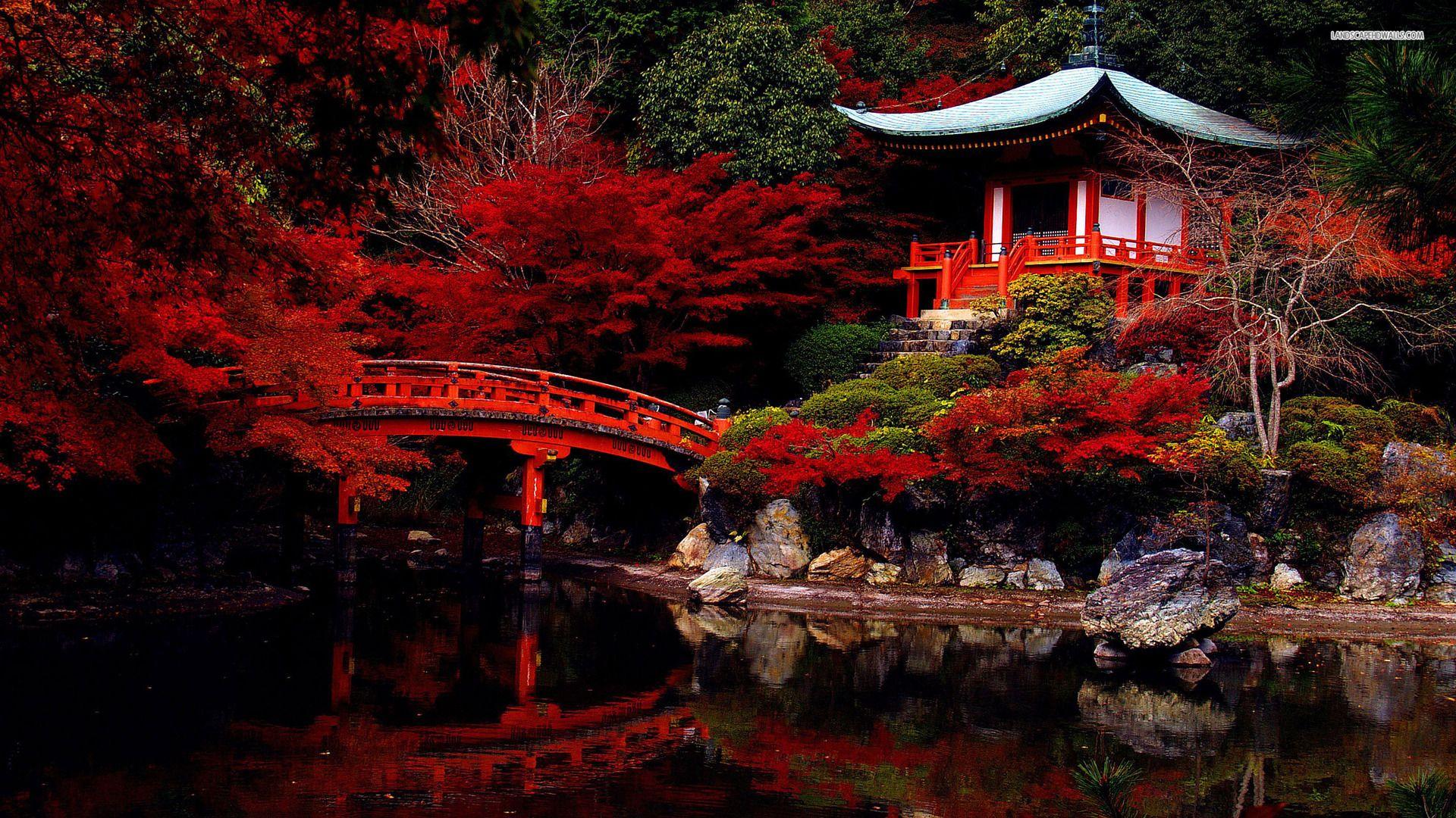 Japan offers a unique mix of ancient traditions and cutting-edge technology. Explore Tokyo’s vibrant streets, Kyoto’s historic temples and Mount Fuji’s scenic beauty. Enjoy sushi, cherry blossoms and cultural experiences like tea ceremonies and sumo wrestling. A traveler’s paradise!