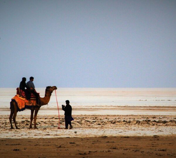 The Rann of Kutch is a mesmerizing white salt desert, offering a unique tourism experience. The Rann Utsav showcase cultural heritage, folk music, and adventure activities. Stunning landscapes, camel rides, and vibrant handicraft make it a must-visit destination in Gujarat.