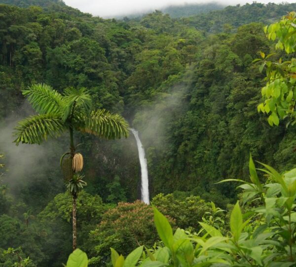 Kerala, “God’s Own Country,” is a top tourist destination known for its serene backwaters, lush hill stations, and pristine beaches. Visitors enjoy houseboat cruises, Ayurvedic retreats, wildlife sanctuaries, and vibrant cultural experiences, making it a perfect blend of nature and tradition.