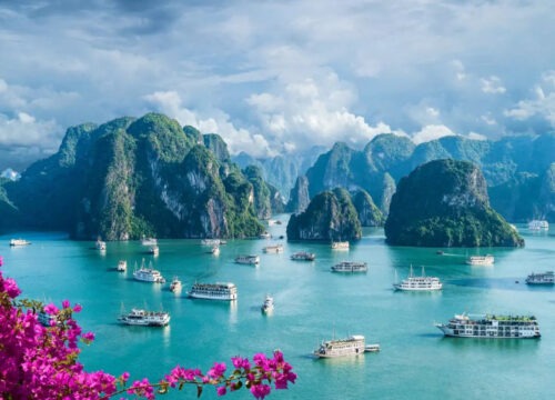 Vietnam Tour